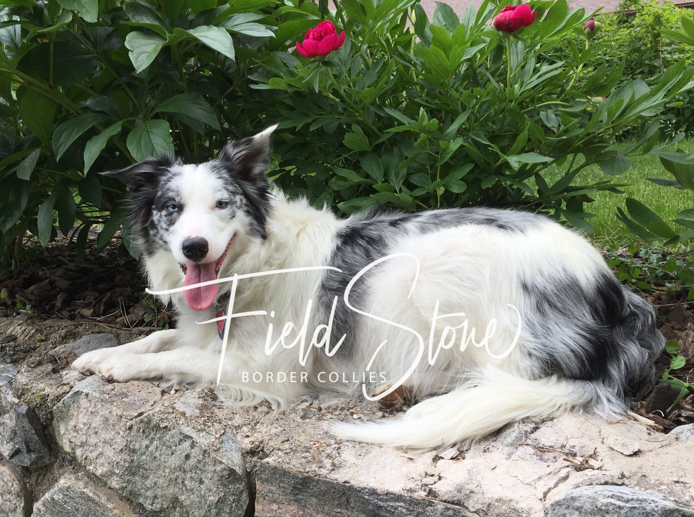 L.E.G.S.® Lightbulb Moment: Self